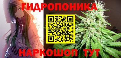 трава Новодвинск