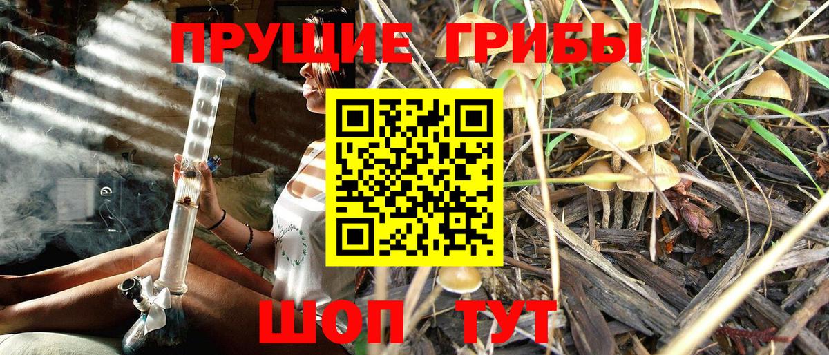Протвино  Псилоцибиновые грибы Cubensis  Вход с VPN  Галлюциногенные грибы Magic Shrooms 